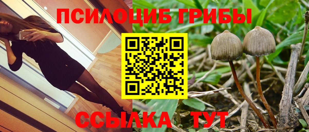 Псилоцибиновые грибы Cubensis  Вход с VPN  Елец 